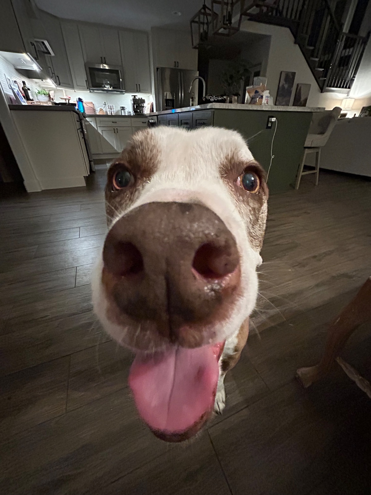 Photo of Sam